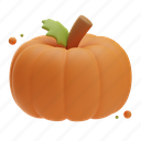 pumpkin, thanksgiving, autumn, fall, holiday, leaf, decoration, harvest 