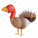illustration, turkey, bird, isolated, fly, animal, zoo 