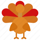 turkey, thanksgiving, holiday, autumn, food