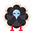 bird, november, animal, fall, autumn, thanksgiving, turkey