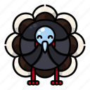 bird, holiday, animal, autumn, thanksgiving, turkey