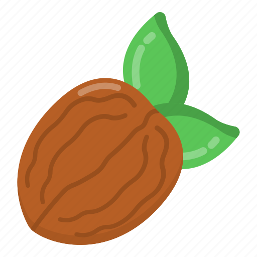 Fruit, walnut, healthy food, organic food, edible icon - Download on Iconfinder