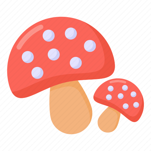 Oyster mushrooms, mushrooms, fungi, fungus, toadstools icon - Download on Iconfinder