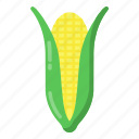 maize, corn, corn cob, edible, healthy food