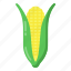 maize, corn, corn cob, edible, healthy food 