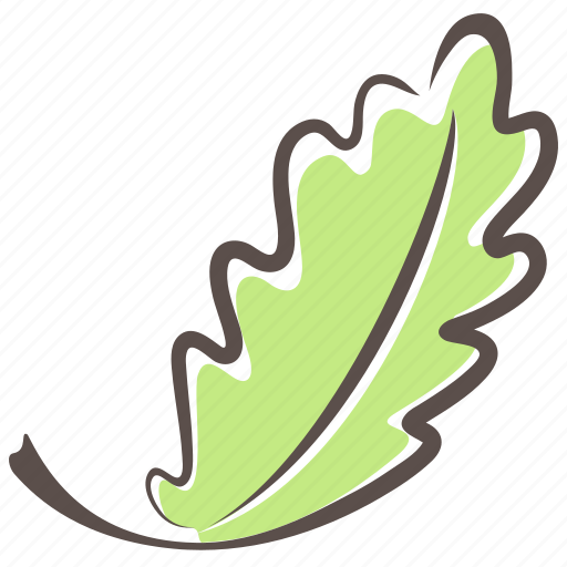 Leaf, oak, oak leaf icon - Download on Iconfinder