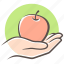 apple, hand, fruit 