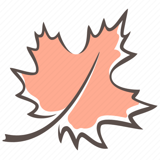 Leaf, maple leaf, maple, fall icon - Download on Iconfinder