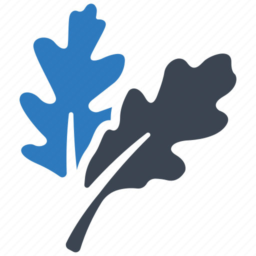 Leaf, oak, oak leaf, autumn, fall icon - Download on Iconfinder