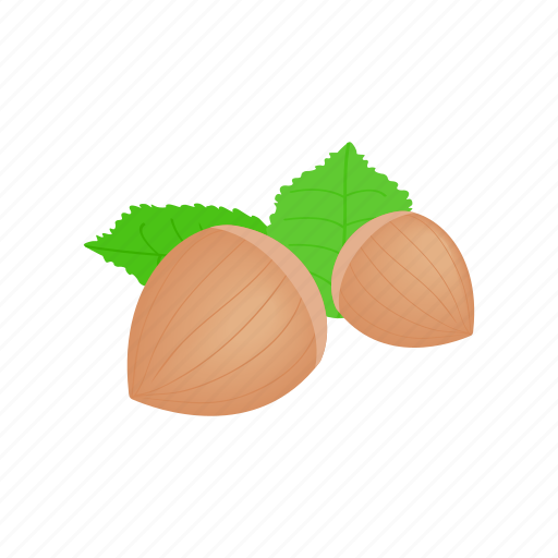 Filbert, food, green, hazel, hazelnut, isometric, nut icon - Download on Iconfinder