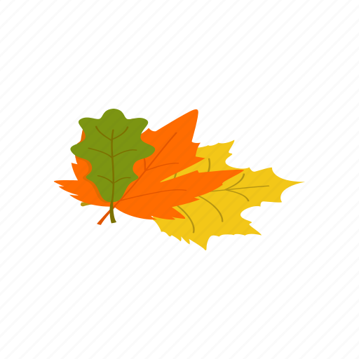 Autumn, color, forest, isometric, maple, natural, nature icon - Download on Iconfinder
