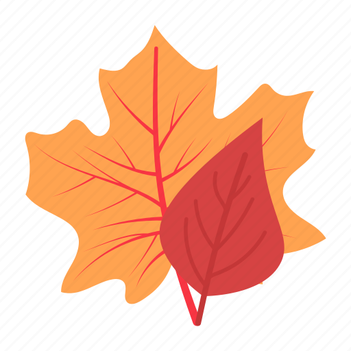 Leaf, maple, thanksgiving, leaves, maple leaf, autumn, fall icon - Download on Iconfinder