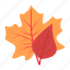 leaf, maple, thanksgiving, leaves, maple leaf, autumn, fall 