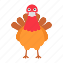 hen, cock, chicken, rooster, thanksgiving