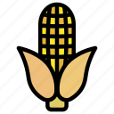 corn, maize, vegetable, farm, healthy, grain, agriculture, food