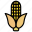 corn, maize, vegetable, farm, healthy, grain, agriculture, food 