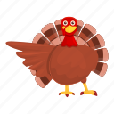 thanksgiving, turkey, show, holiday