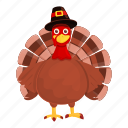thanksgiving, turkey, wear, hat
