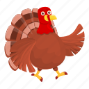 thanksgiving, turkey, walking, bird