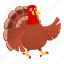 thanksgiving, turkey, walking, bird 