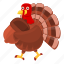 thanksgiving, turkey, nut, pumpkin 