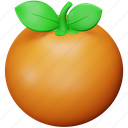 orange, thanksgiving, fruit, food