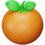 orange, thanksgiving, fruit, food 