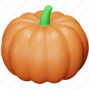 pumpkin, thanksgiving, food, vegetable, fruit, holiday