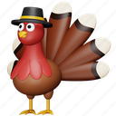 turkey, thanksgiving, bird, animal, pet