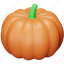 pumpkin, thanksgiving, food, vegetable, fruit, holiday 