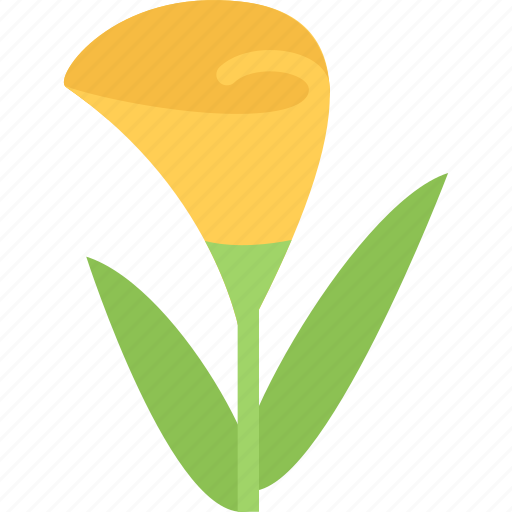 Calla, plant, flower, nature, floral icon - Download on Iconfinder