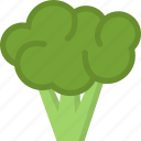 broccoli, vegetable, vegetarian, food, restaurant, eat 