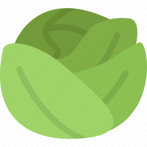 Cabbage, vegetable, eat, vegetarian, food, cooking, kitchen icon - Download on Iconfinder