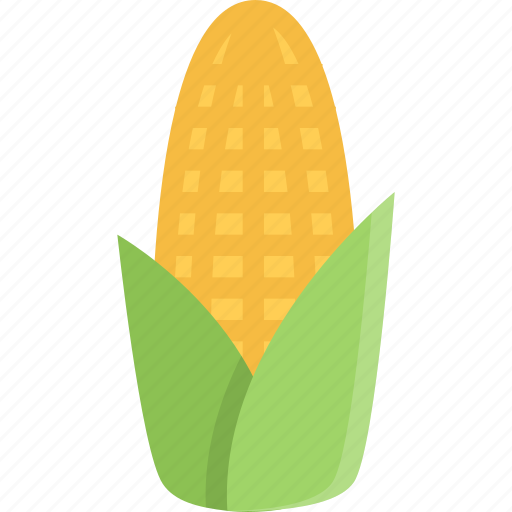 Corn, vegetable, eat, fresh, cooking, food icon - Download on Iconfinder