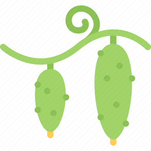 Cucumbers, vegetable, eat, fresh, food, kitchen icon - Download on Iconfinder