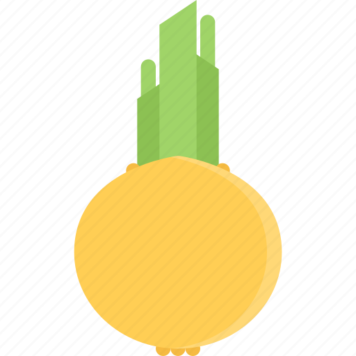 Onion, vegetable, eat, fresh, food, restaurant, meal icon - Download on Iconfinder