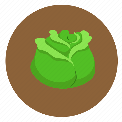 Cabbage, food, fruit, vegetable icon - Download on Iconfinder