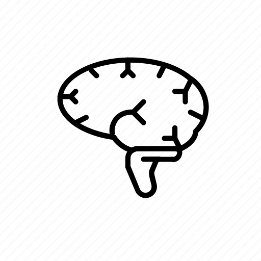 Human, brain, person, thinking, head, man, mind icon - Download on Iconfinder