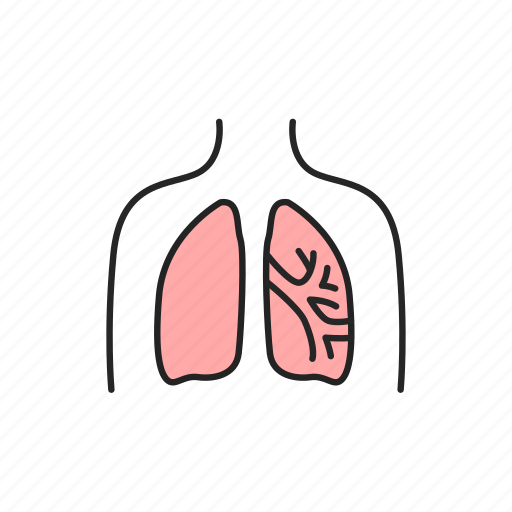 Bronchiectasis, lungs icon - Download on Iconfinder