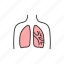 bronchiectasis, lungs 