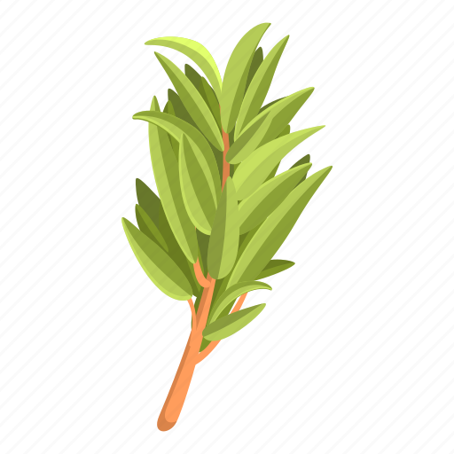 Branch, thyme, ingredient, food icon - Download on Iconfinder