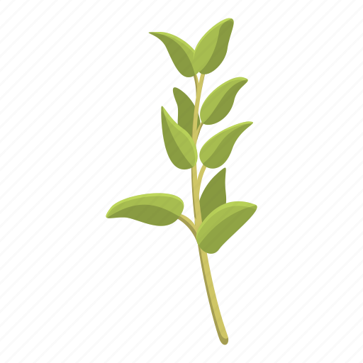 Thyme, culinary, leaf, herbal icon - Download on Iconfinder