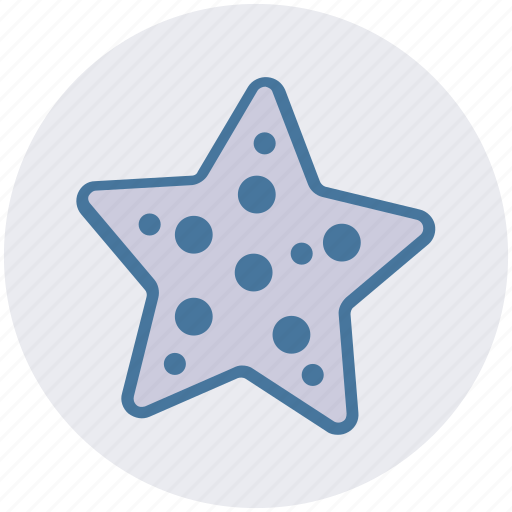 Ocean, plant, sea, star, under, water icon - Download on Iconfinder