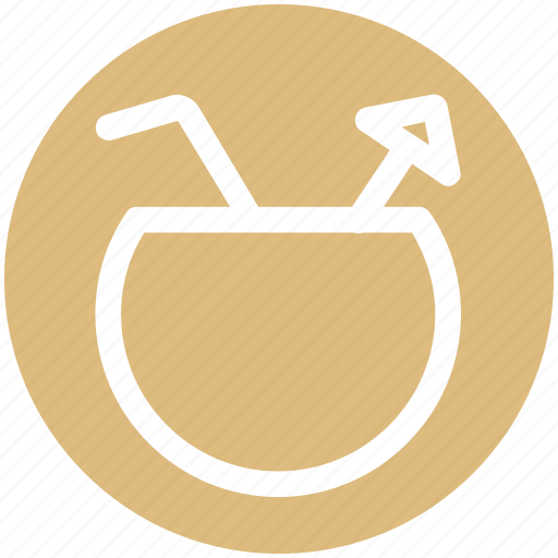 .svg, bowl, coconut, coconut juice, drink, food, juice icon - Download on Iconfinder