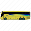 bus, luxury bus, school bus, transport