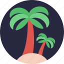 beach, coconut tree, date tree, palm, palm tree