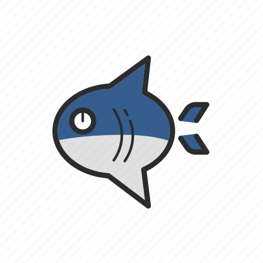 .svg, beach, fish, sea, shark icon - Download on Iconfinder