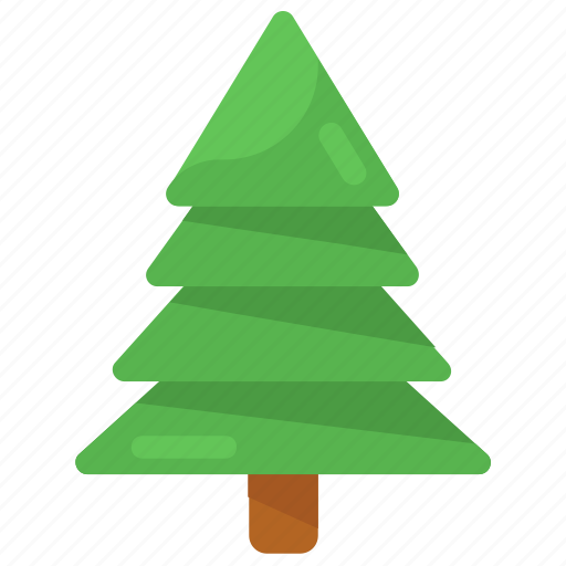 Cedar, fir, fir tree, natural tree, tree, tropical tree, xmas icon - Download on Iconfinder