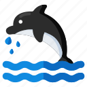 dolphin, fish, beluga, shark, whale