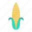 corn, crop, food, maize, vegetable 